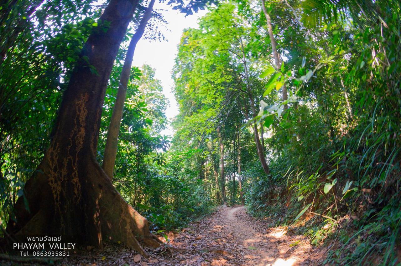 Phayam Valley Homestay Koh Phayam Exterior photo